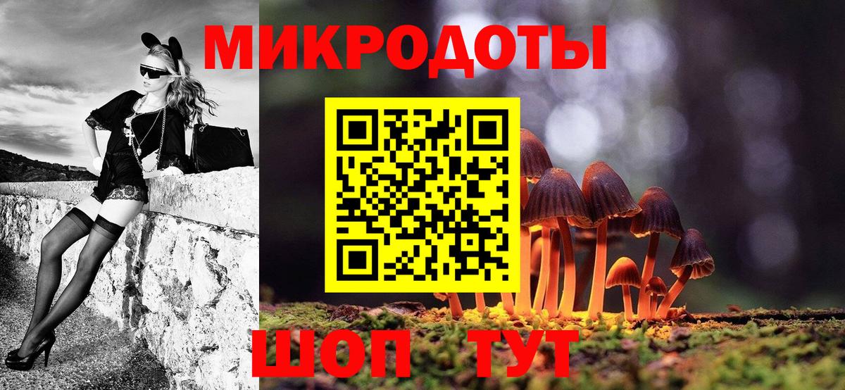 Киселёвск  Галлюциногенные грибы Psilocybine cubensis  Вход с VPN 