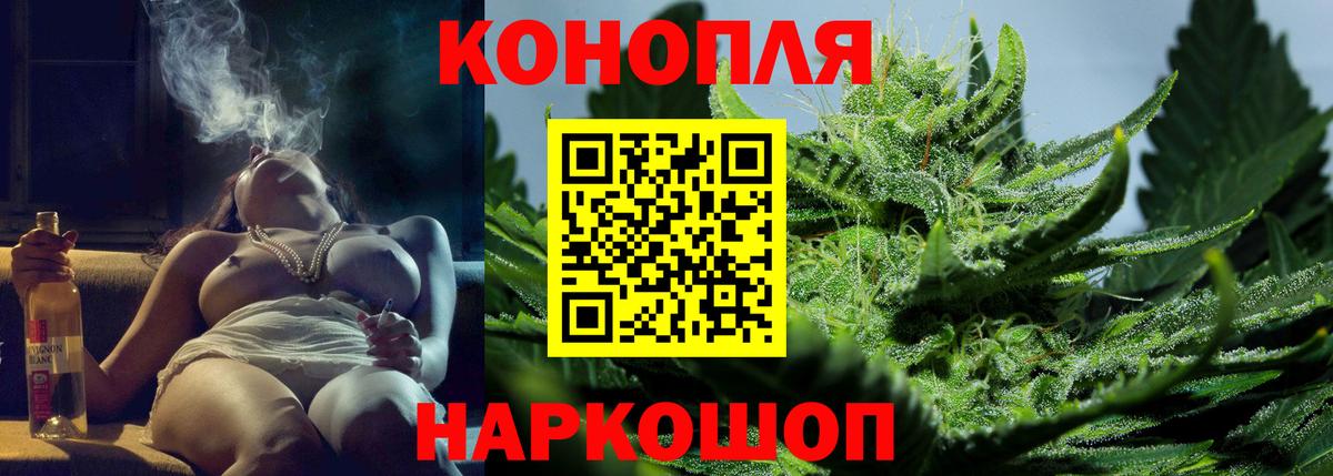 Каннабис конопля Киселёвск